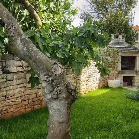 Villa Beautiful Irma With Private Pool Near Rovinj