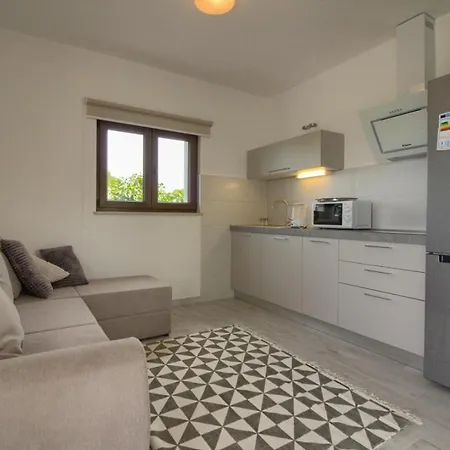 Villa Beautiful Irma With Private Pool Near Rovinj